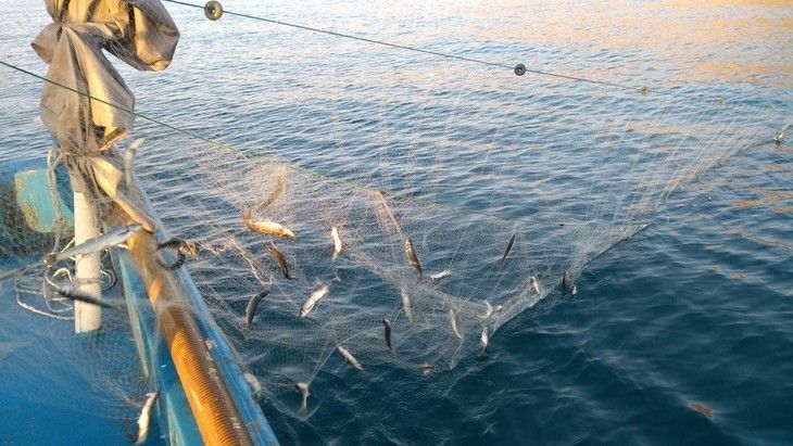 Haber Detay Görseli