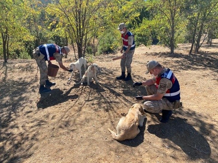 Haber Detay Görseli