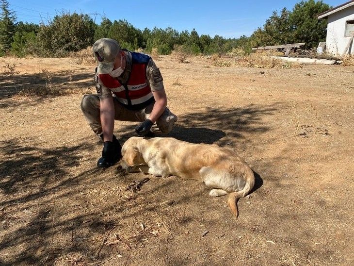 Haber Detay Görseli