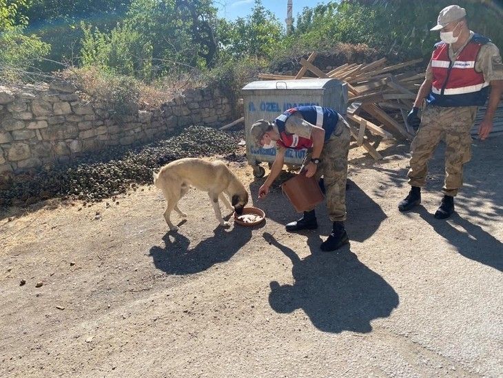 Haber Detay Görseli