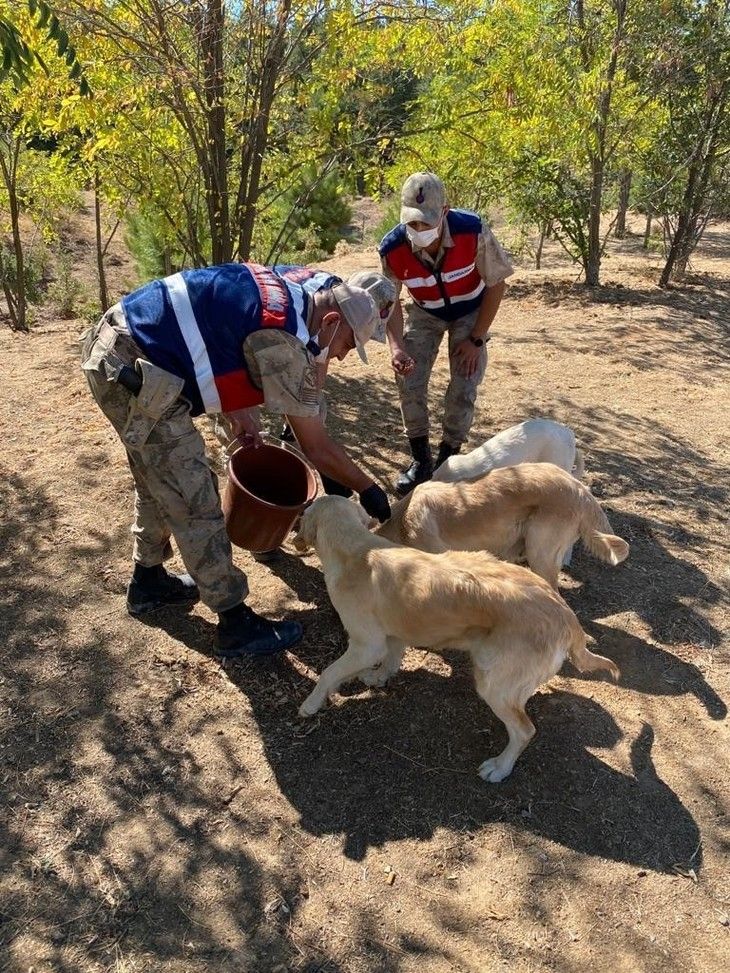 Haber Detay Görseli