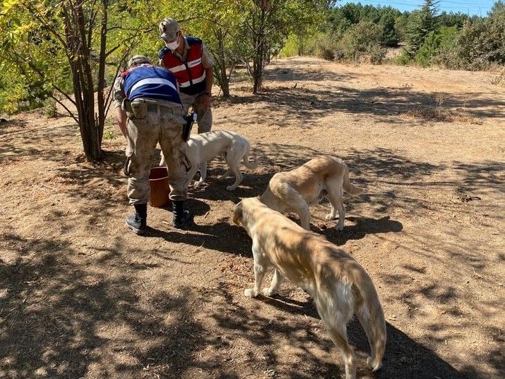 Haber Detay Görseli
