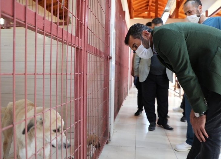 Haber Detay Görseli