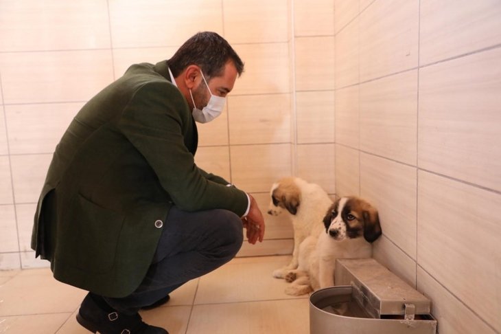 Haber Detay Görseli