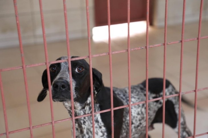 Haber Detay Görseli