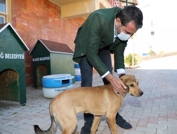 Haber Detay Görseli