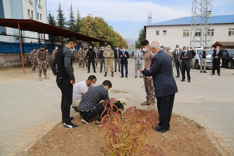 Haber Detay Görseli