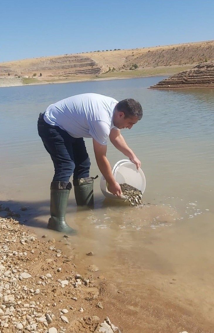 Haber Detay Görseli