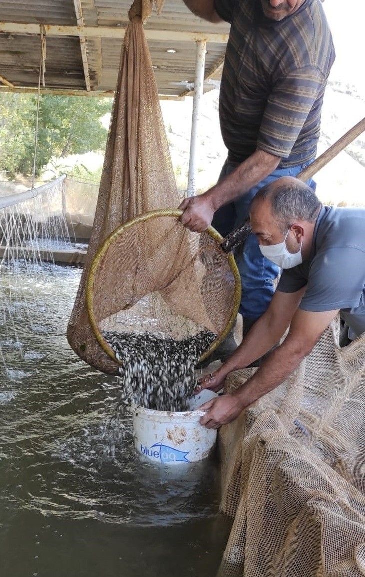 Haber Detay Görseli