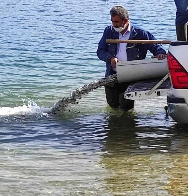 Haber Detay Görseli