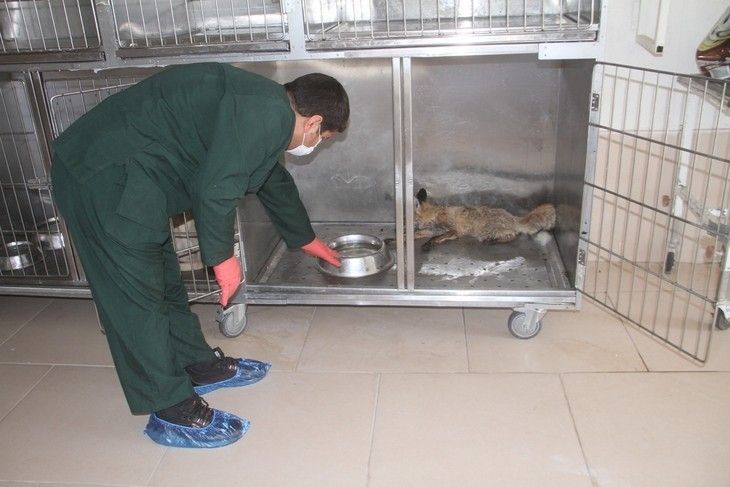 Haber Detay Görseli