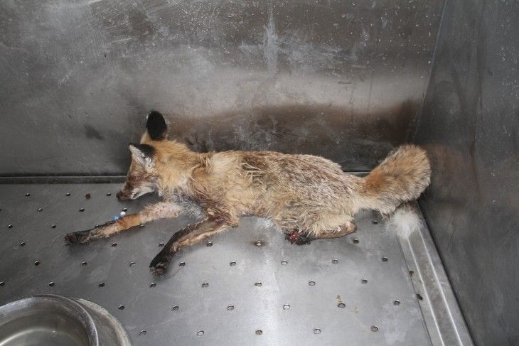 Haber Detay Görseli