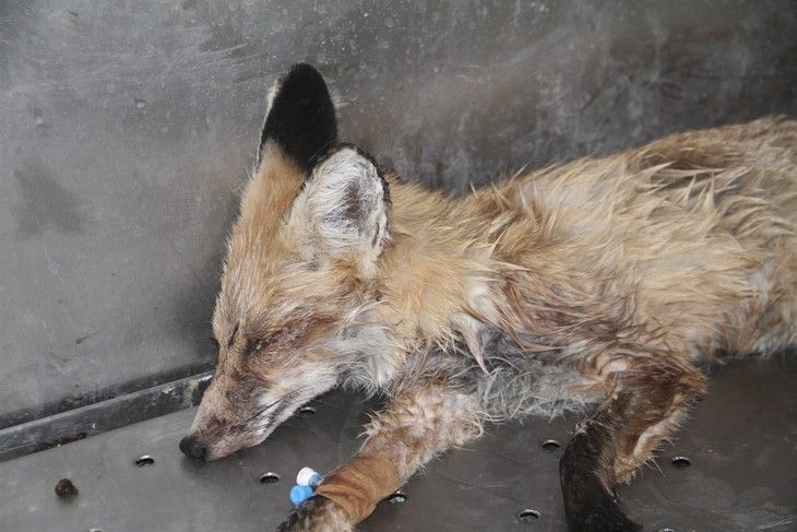 Haber Detay Görseli