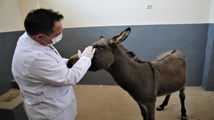 Haber Detay Görseli