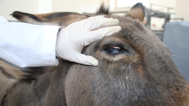 Haber Detay Görseli