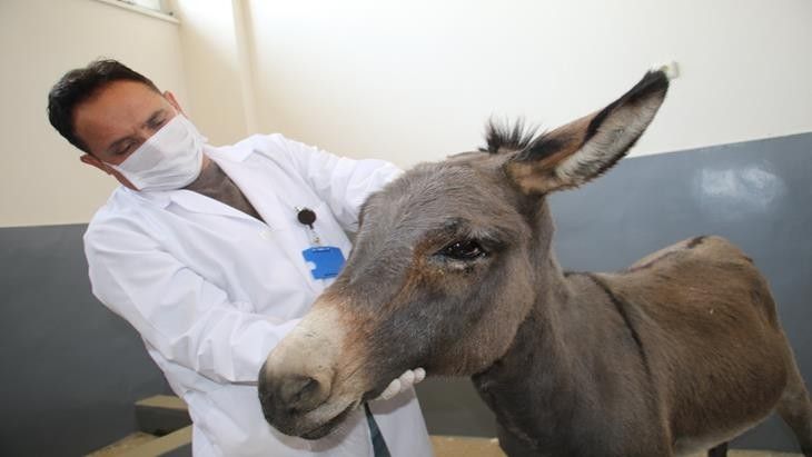 Haber Detay Görseli