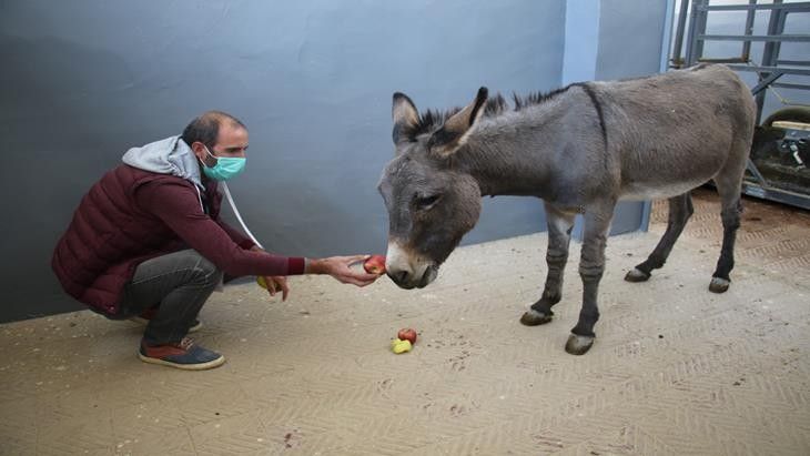 Haber Detay Görseli