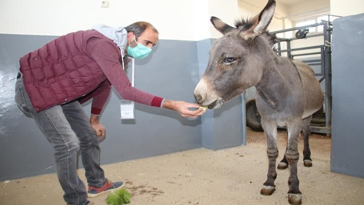 Haber Detay Görseli