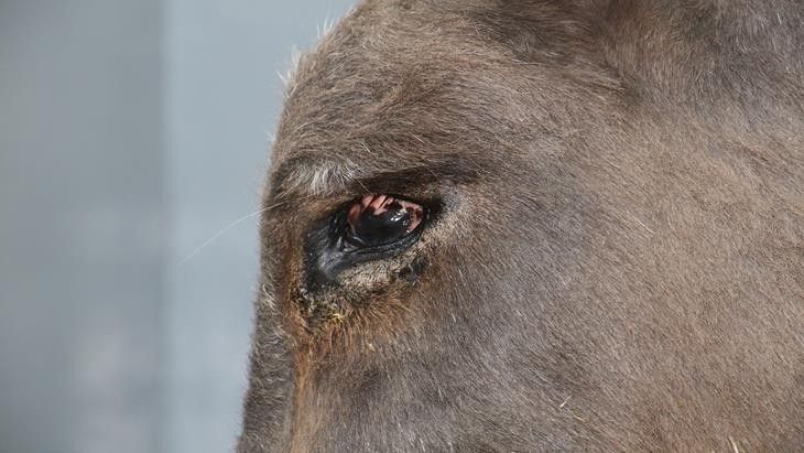 Haber Detay Görseli