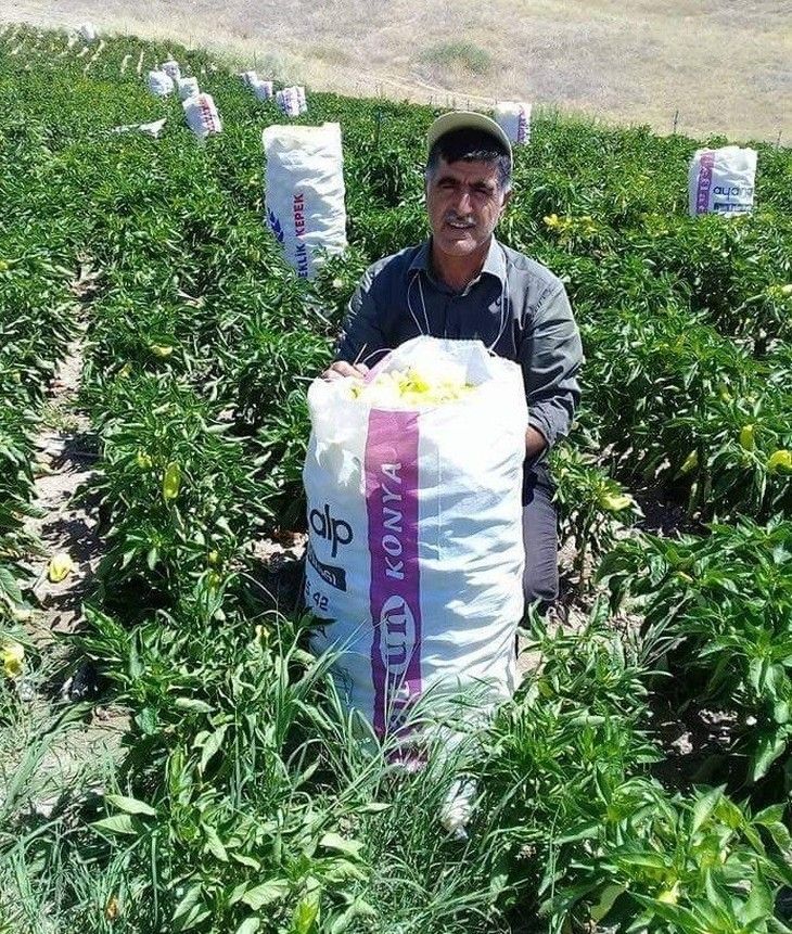 Haber Detay Görseli