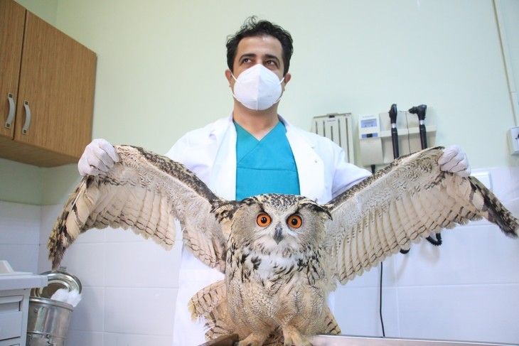 Haber Detay Görseli