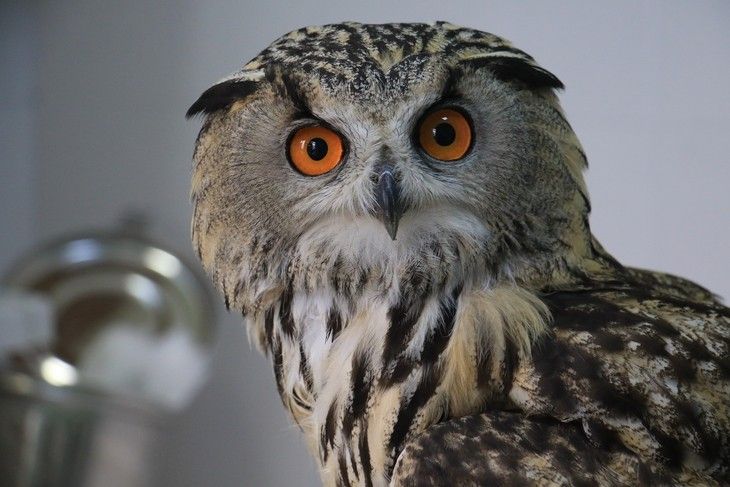 Haber Detay Görseli