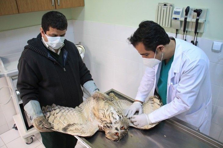 Haber Detay Görseli