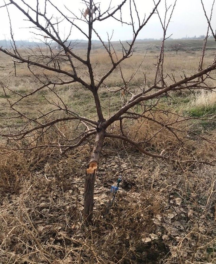 Haber Detay Görseli