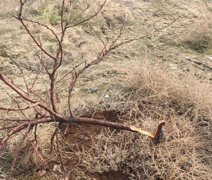 Haber Detay Görseli