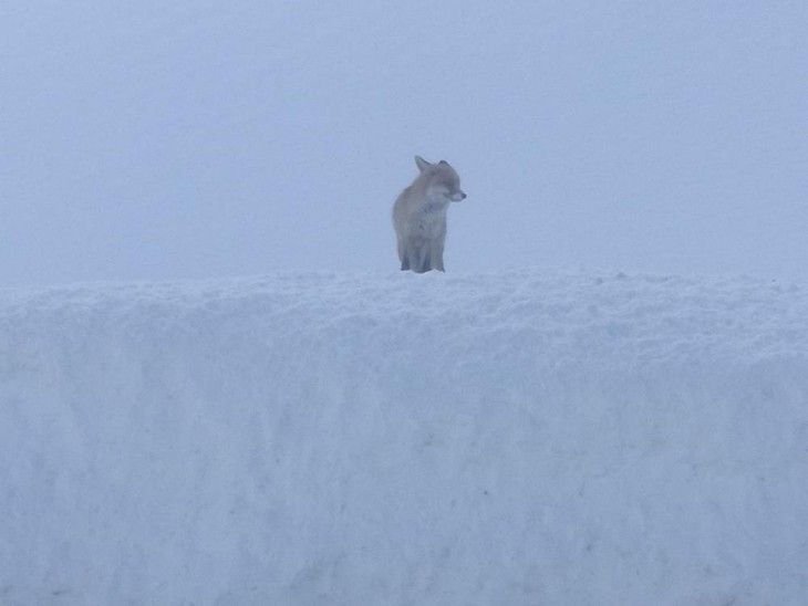 Haber Detay Görseli