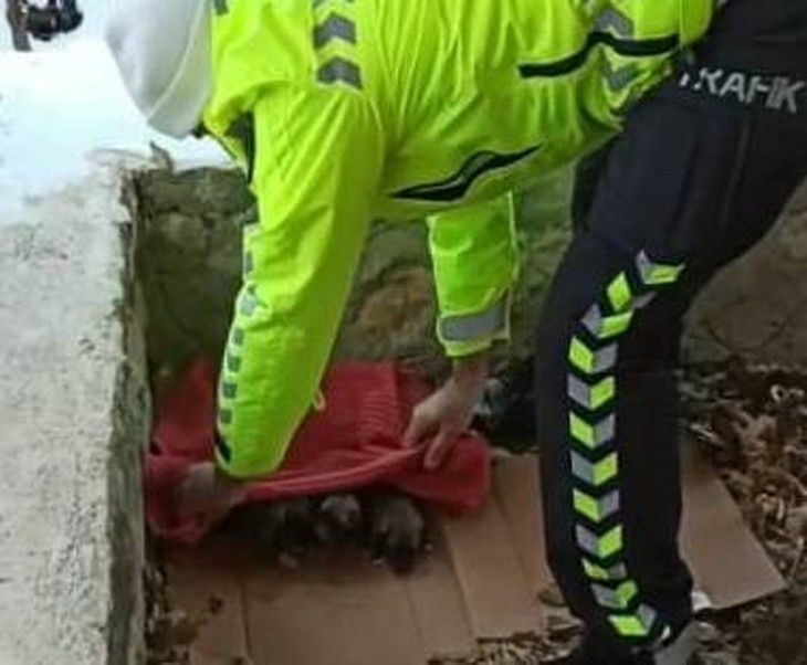 Haber Detay Görseli