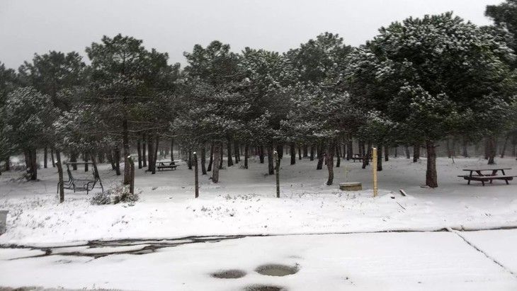 Haber Detay Görseli