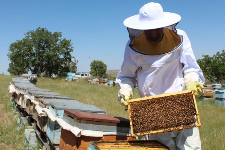 Haber Detay Görseli