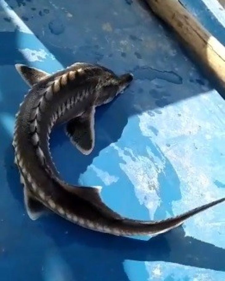 Haber Detay Görseli