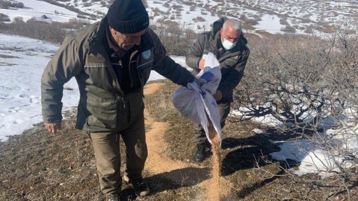 Haber Detay Görseli