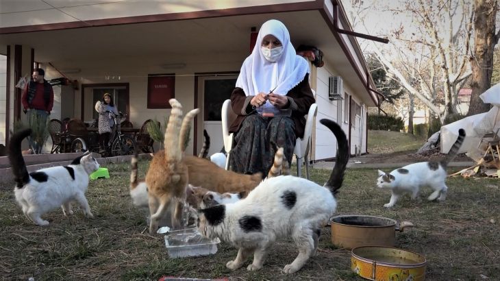 Haber Detay Görseli