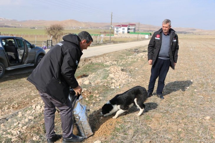 Haber Detay Görseli