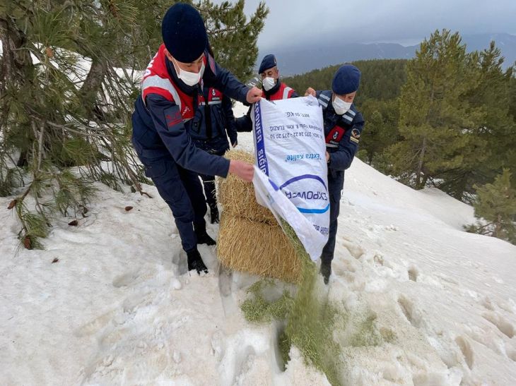 Haber Detay Görseli