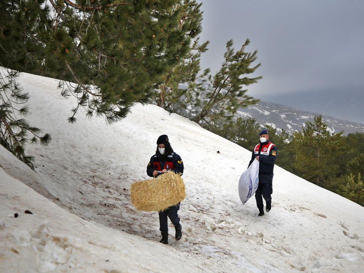 Haber Detay Görseli