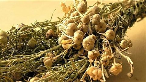 Haber Detay Görseli