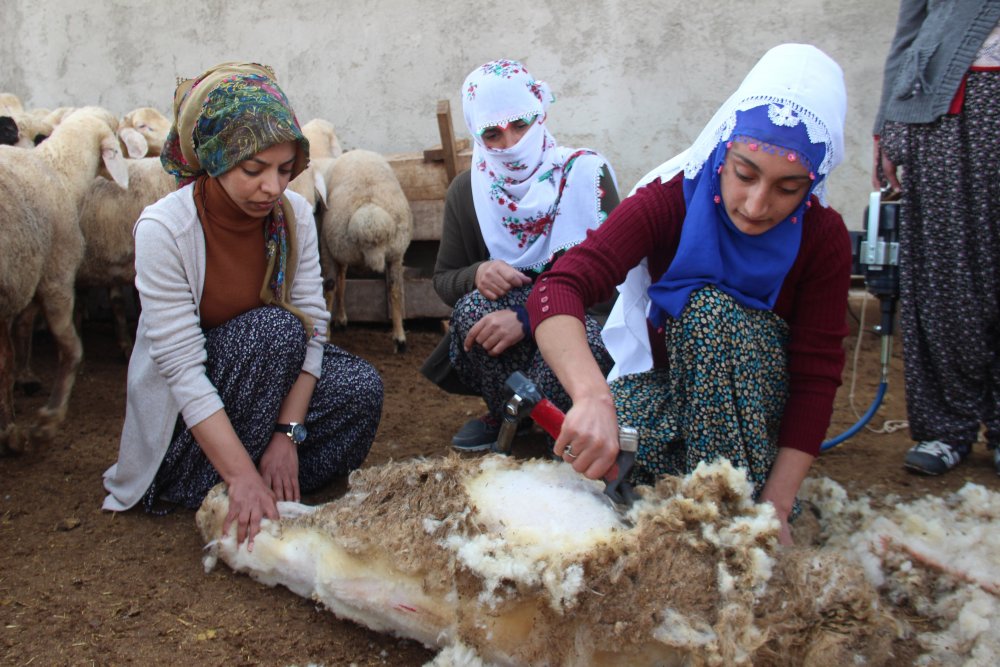 Haber Detay Görseli