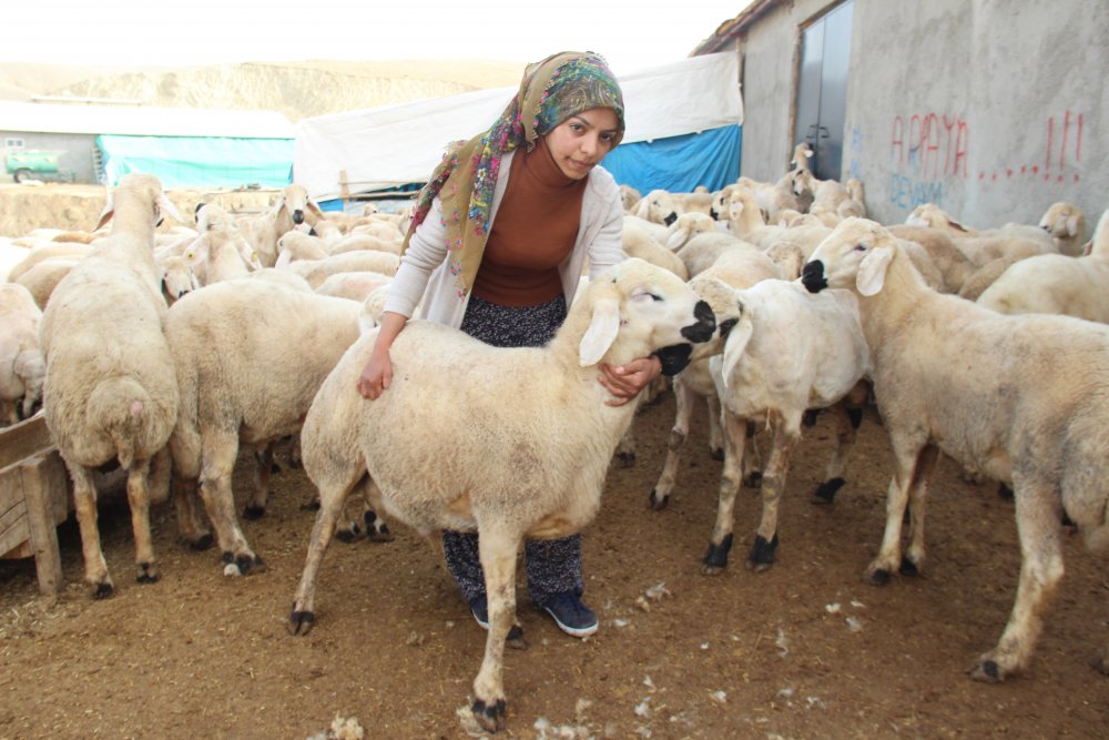 Haber Detay Görseli