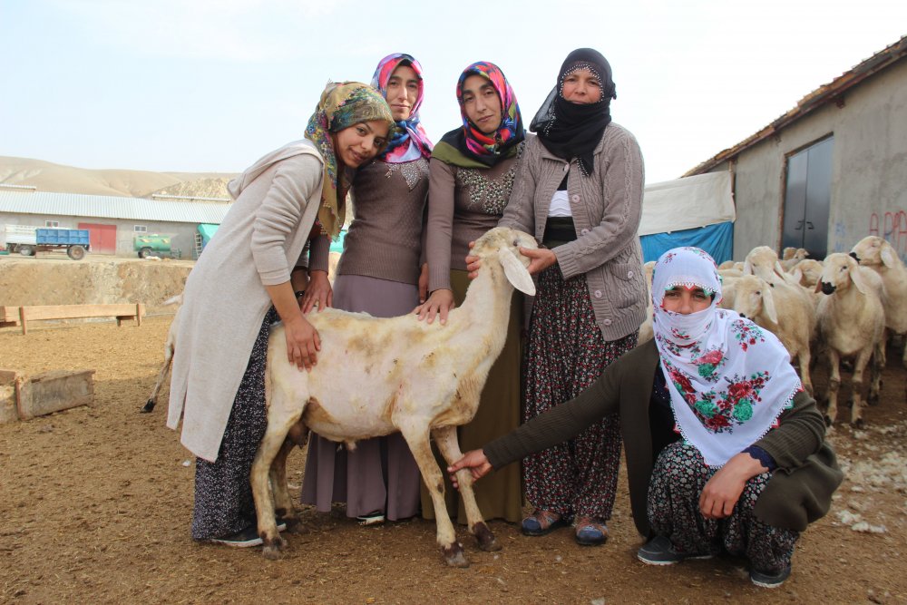 Haber Detay Görseli