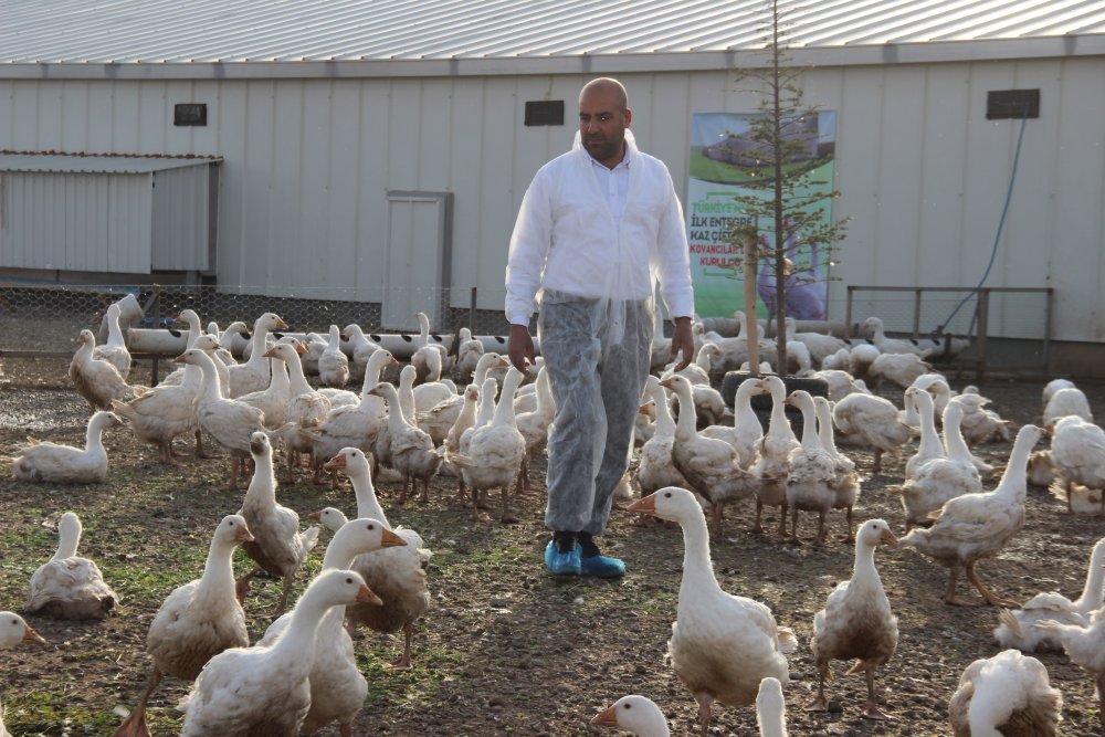 Haber Detay Görseli