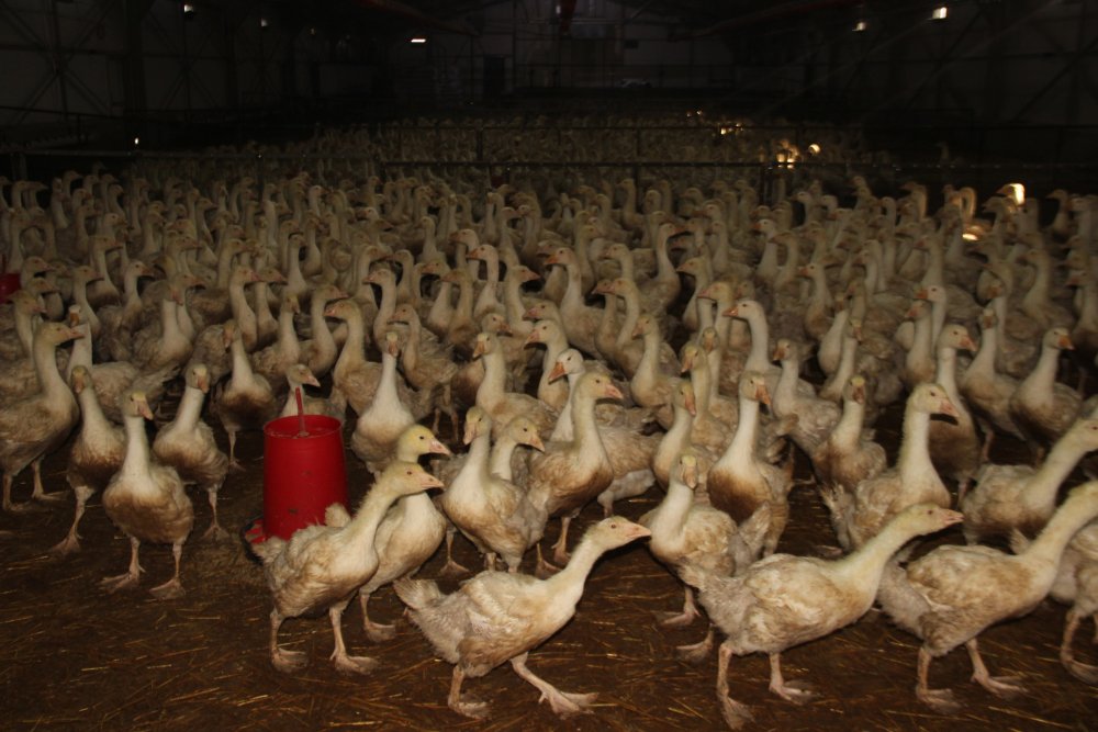 Haber Detay Görseli