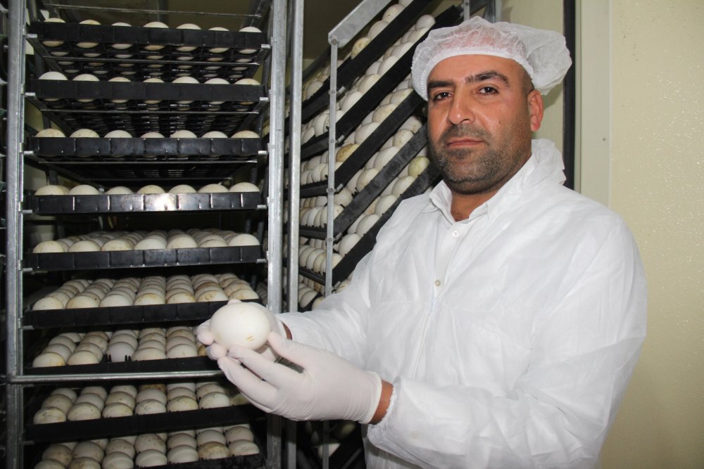 Haber Detay Görseli