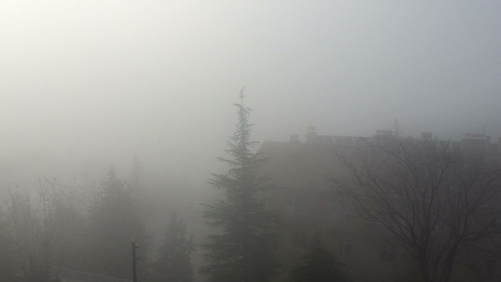 Haber Detay Görseli