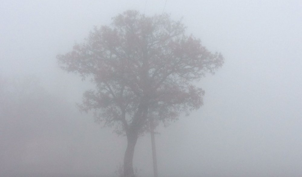 Haber Detay Görseli