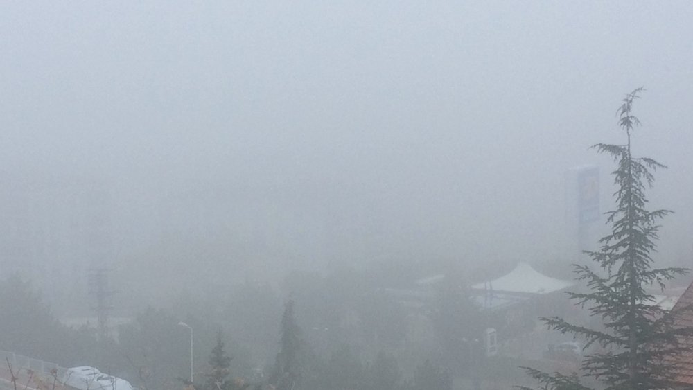 Haber Detay Görseli