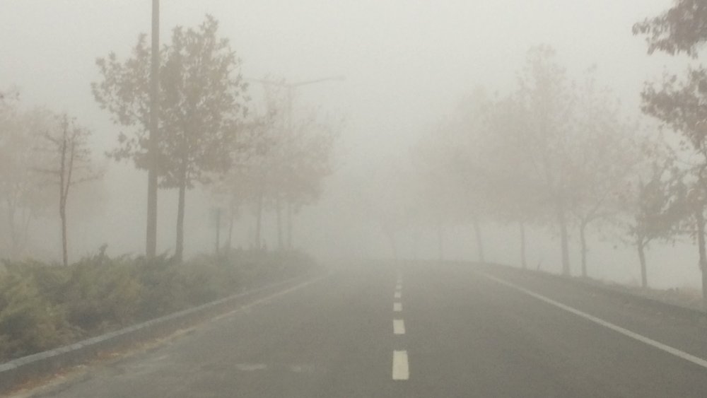 Haber Detay Görseli